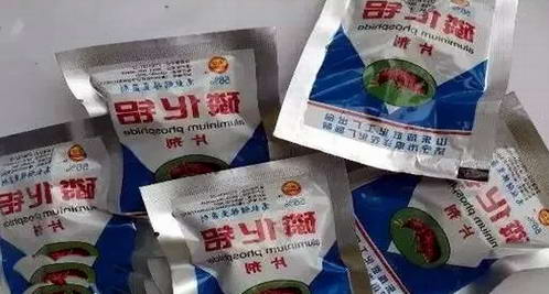  房东使用磷化铝杀虫剂，居民中毒|康雅杀虫|除四害