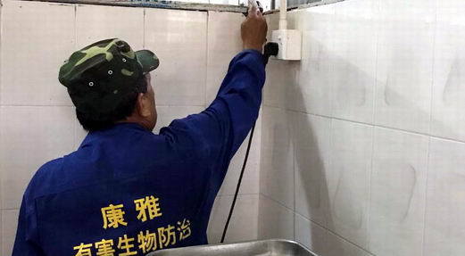 厨房环境如何使用除虫灭鼠产品|康雅杀虫|广州杀虫