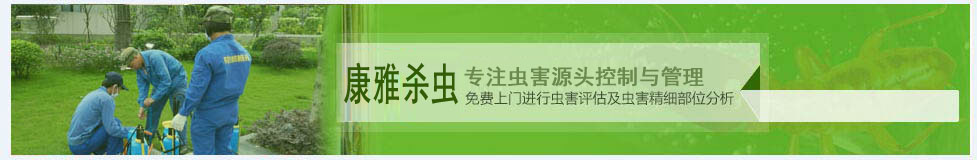 10年专业技术人员免费上门进行虫害评估及虫害精细部位分析